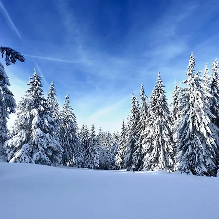 Elegant Terrasse Pied Des Piste Vtt Apartment *