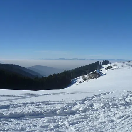 Elegant Terrasse Pied Des Piste Vtt