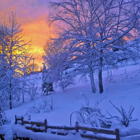 Elegant Terrasse Pied Des Piste Vtt * Orbey