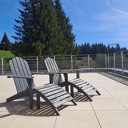 Elegant Terrasse Pied Des Piste Vtt Orbey