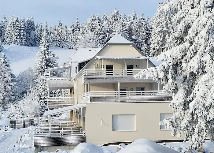 Elegant Terrasse Pied Des Piste Vtt *