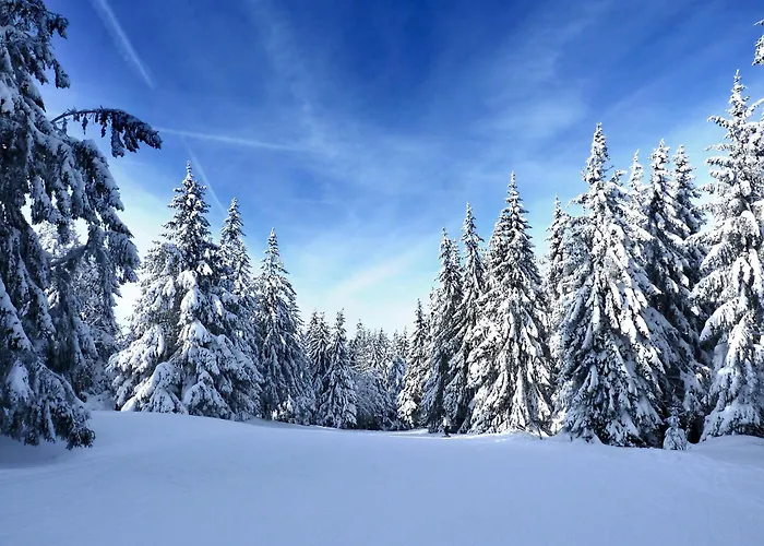 Elegant Terrasse Pied Des Piste Vtt Апартаменты *