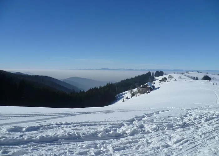 Elegant Terrasse Pied Des Piste Vtt