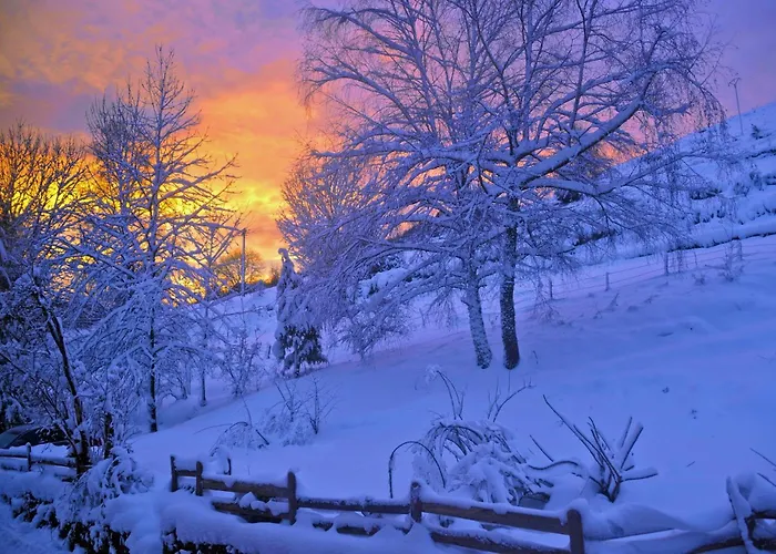 Elegant Terrasse Pied Des Piste Vtt * Орбе